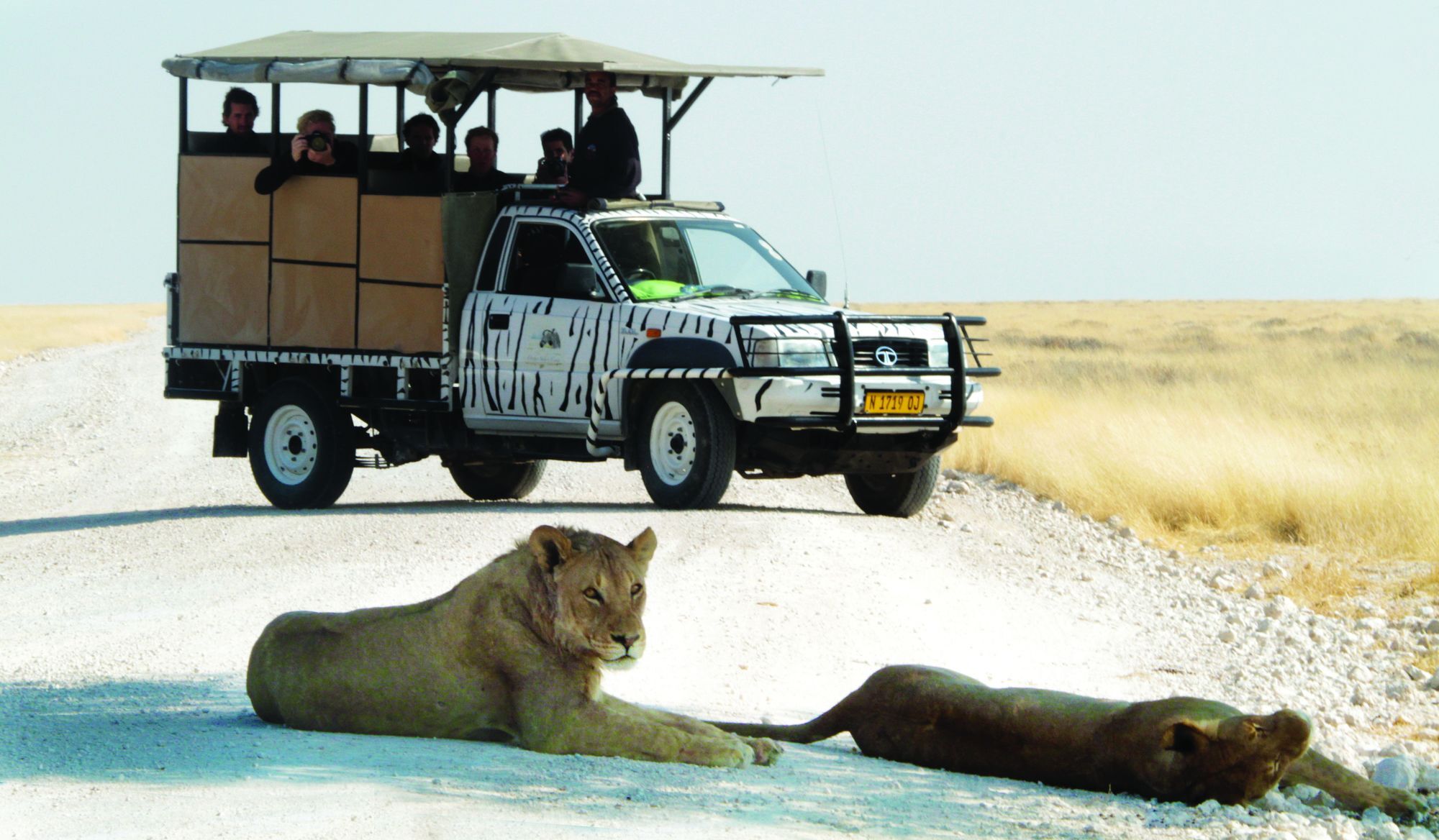 הוילה אוקאוקוג'ו Gondwana Etosha Safari Camp מראה חיצוני תמונה